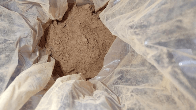 Speculaaskruiden