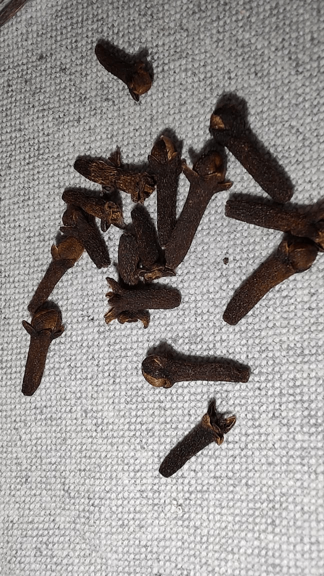 Kruidnagelen heel