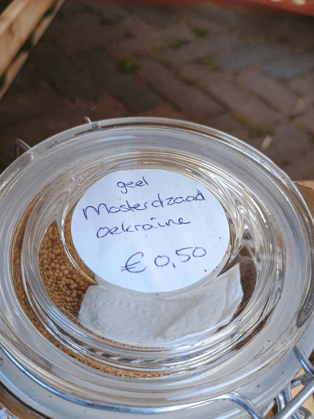 Mosterdzaad