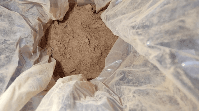 Speculaaskruiden
