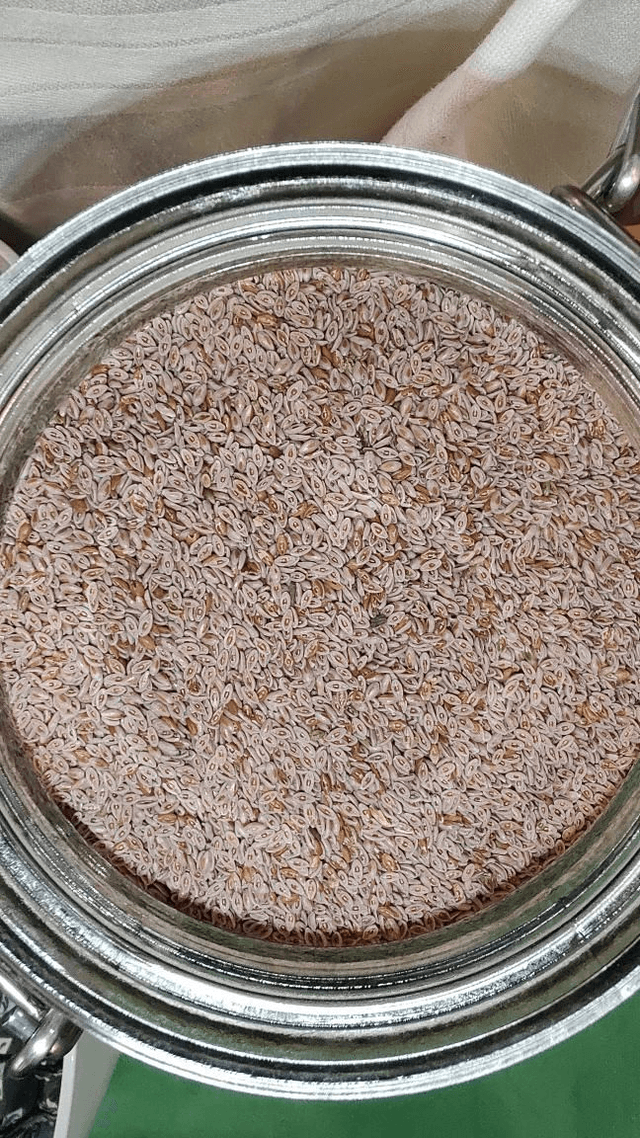 Psyllium / vlozaad heel