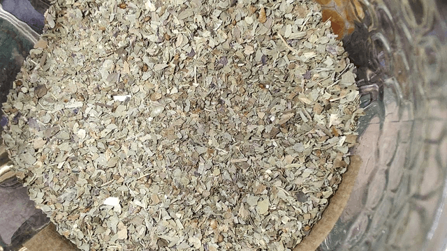 Basilicum geritst
