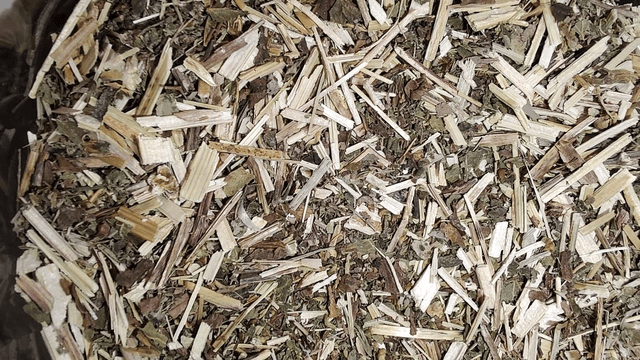 Moerasspirea / olmsprietjes gesneden